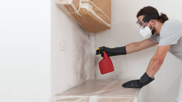 Professional Attic Mold Remediation technician working in Caledonia, MI