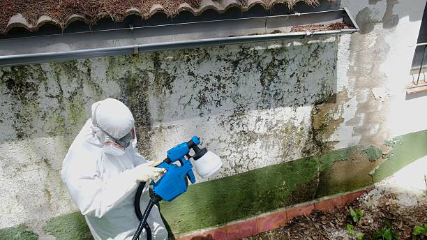 Top rated local Attic Mold Remediation specialists in Caledonia, MI